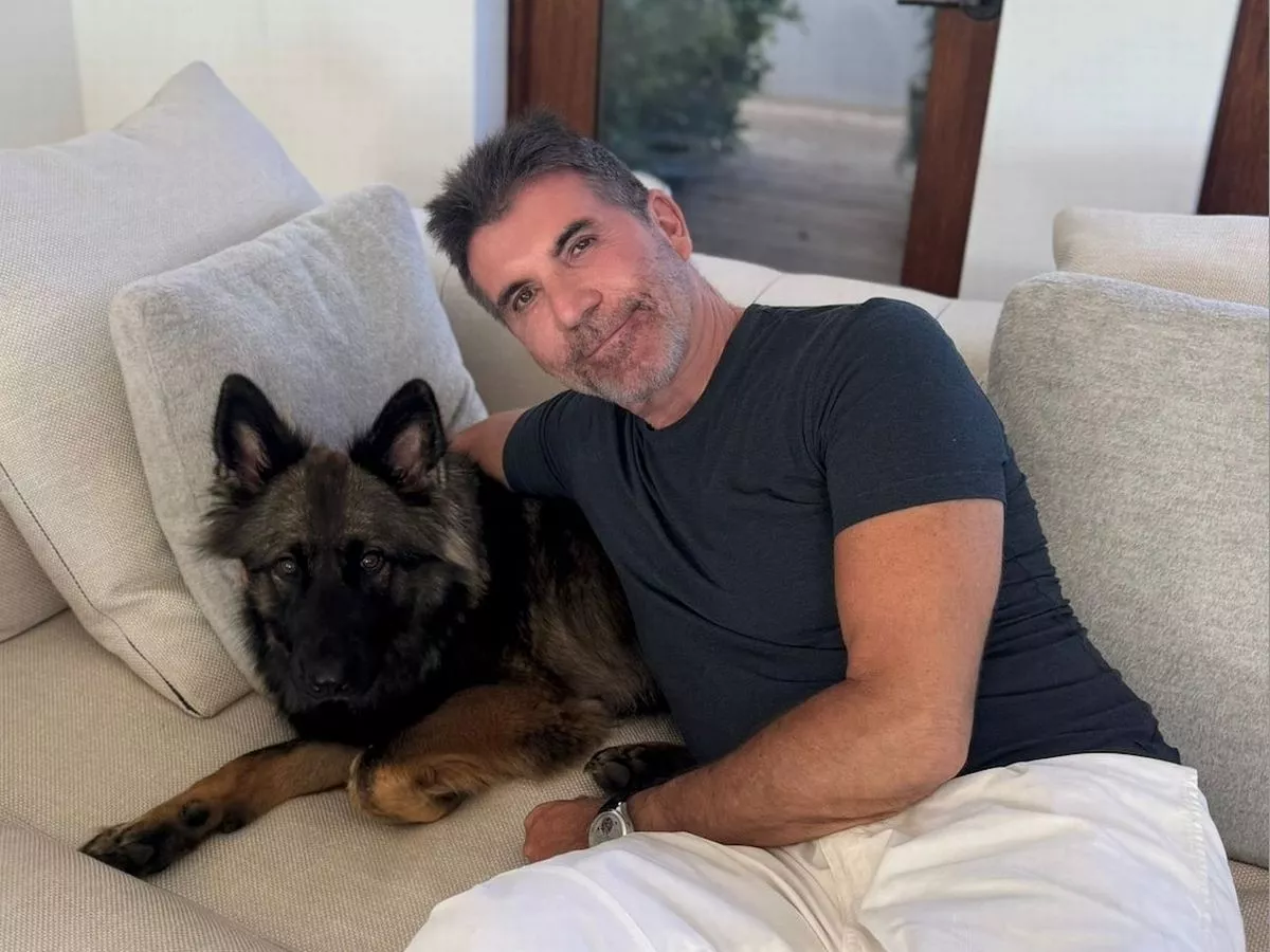 Simon Cowell leaves fans 'crying with laughter' as he shows off 'scary' Halloween costume