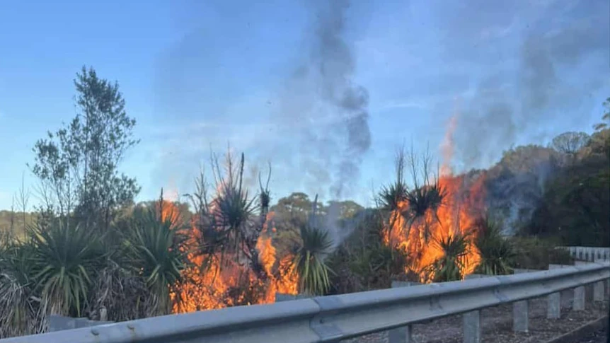Man accused of lighting bushfire while wearing mask, cape denied bail