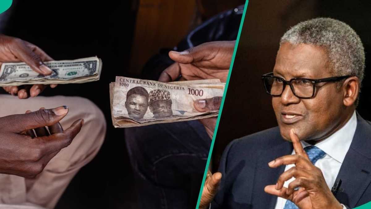 Why Dangote advises Nigerians with US dollar to sell