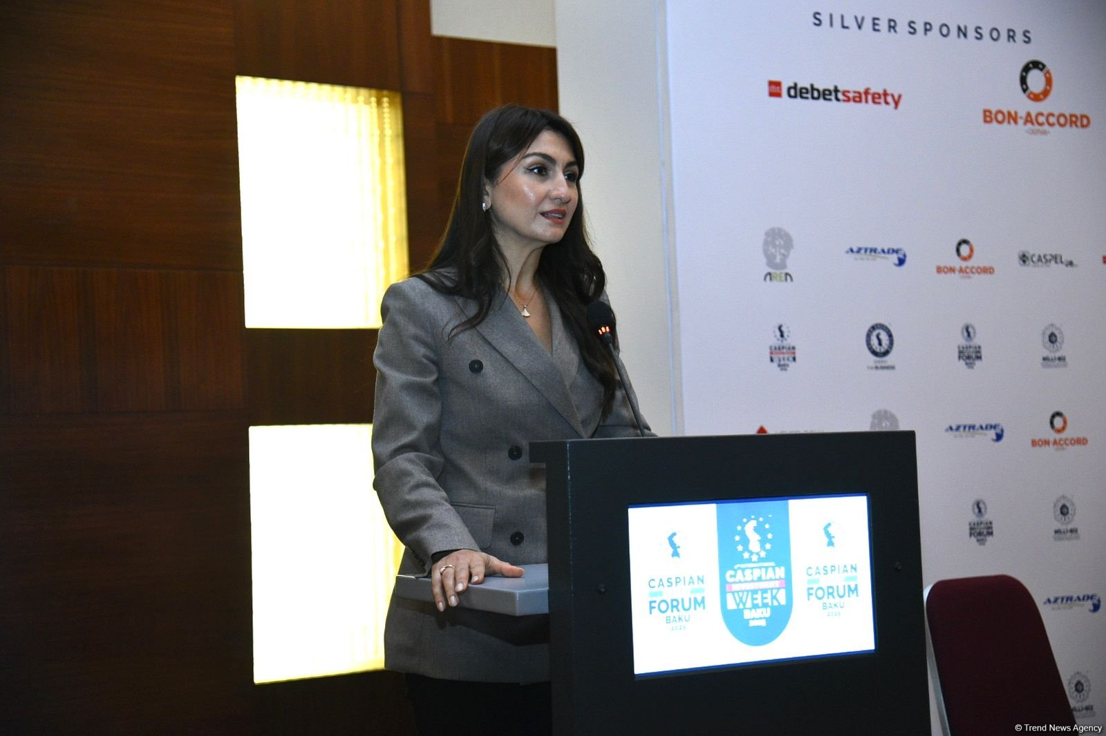 Azerbaijan pursues national strategies to adapt to global climate change - official