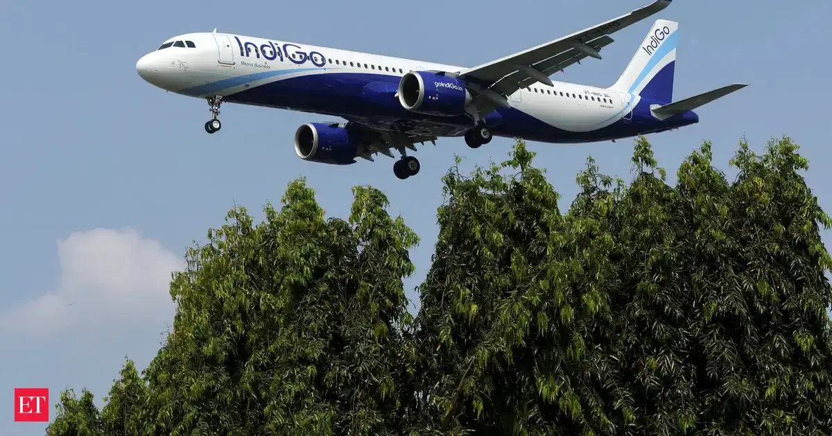 Image that India not giving bilateral flying rights is wrong: IndiGo CEO