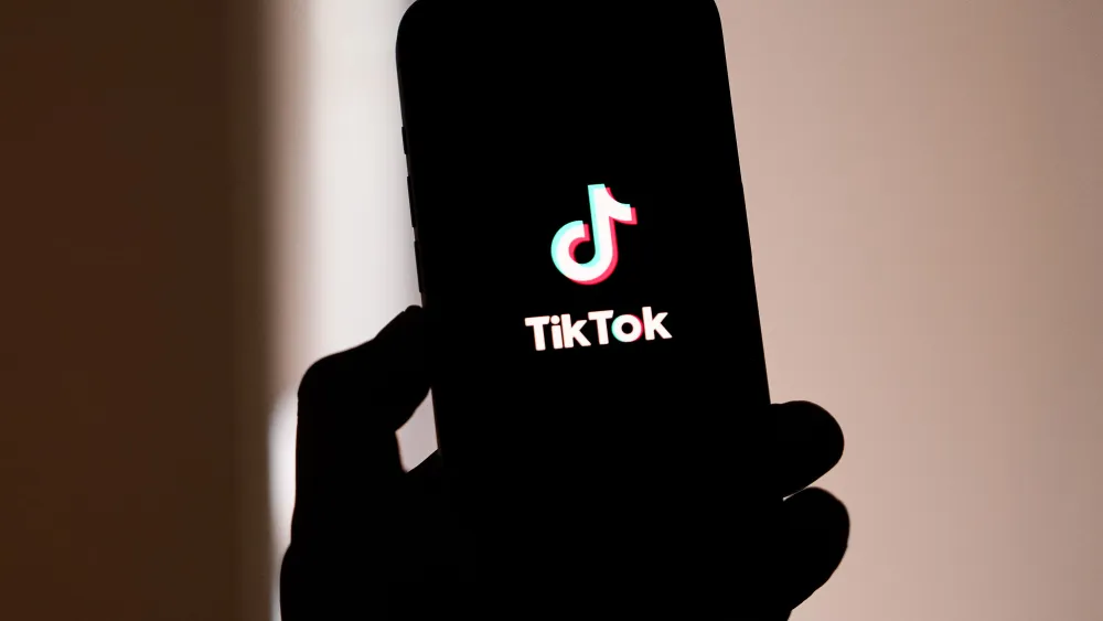 How TikTok Is Disrupting the Entertainment Indsustry
