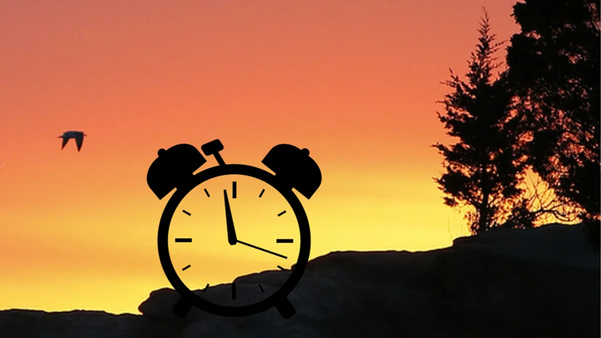 When does daylight saving time end? DE senator wants practice stopped