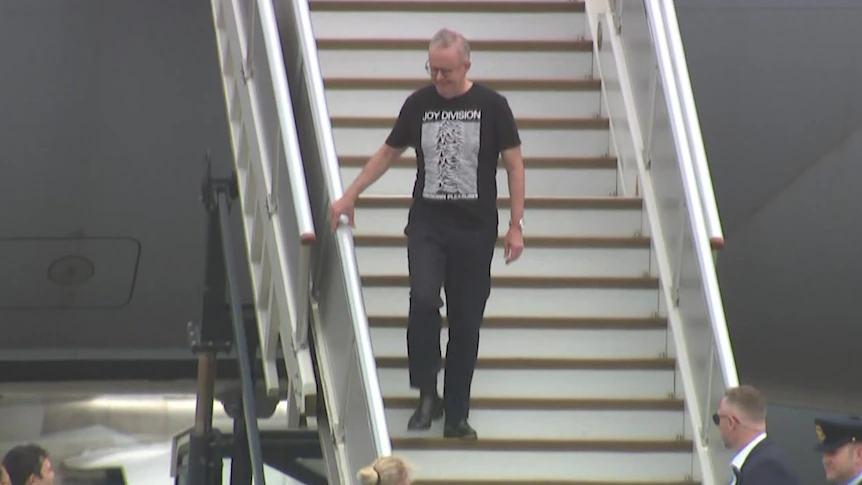Liberal MPs question Sussan Ley's attack on Albanese's Joy Division shirt
