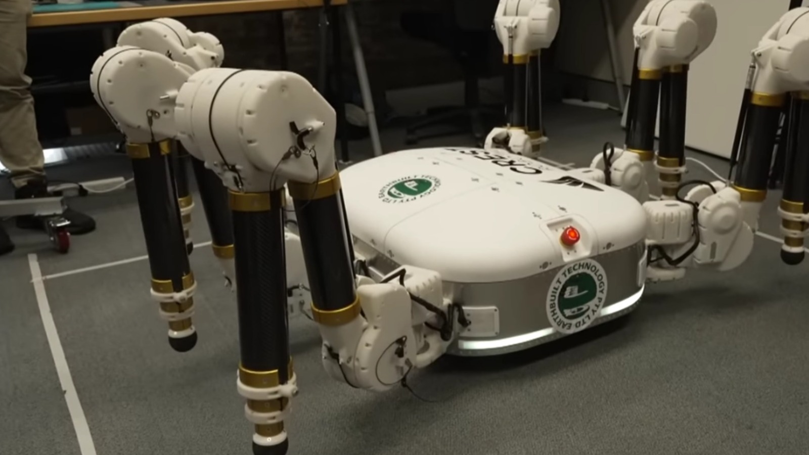 No One Wants A Giant Australian Spider In Their Home - But What About One Building It?