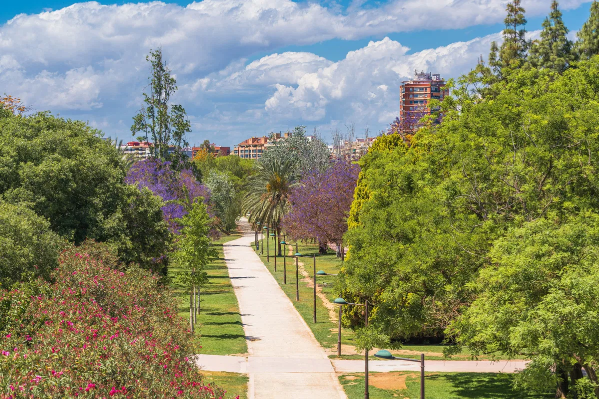 Torrevieja to develop 70,000 square meter Green Zone in Sector 25