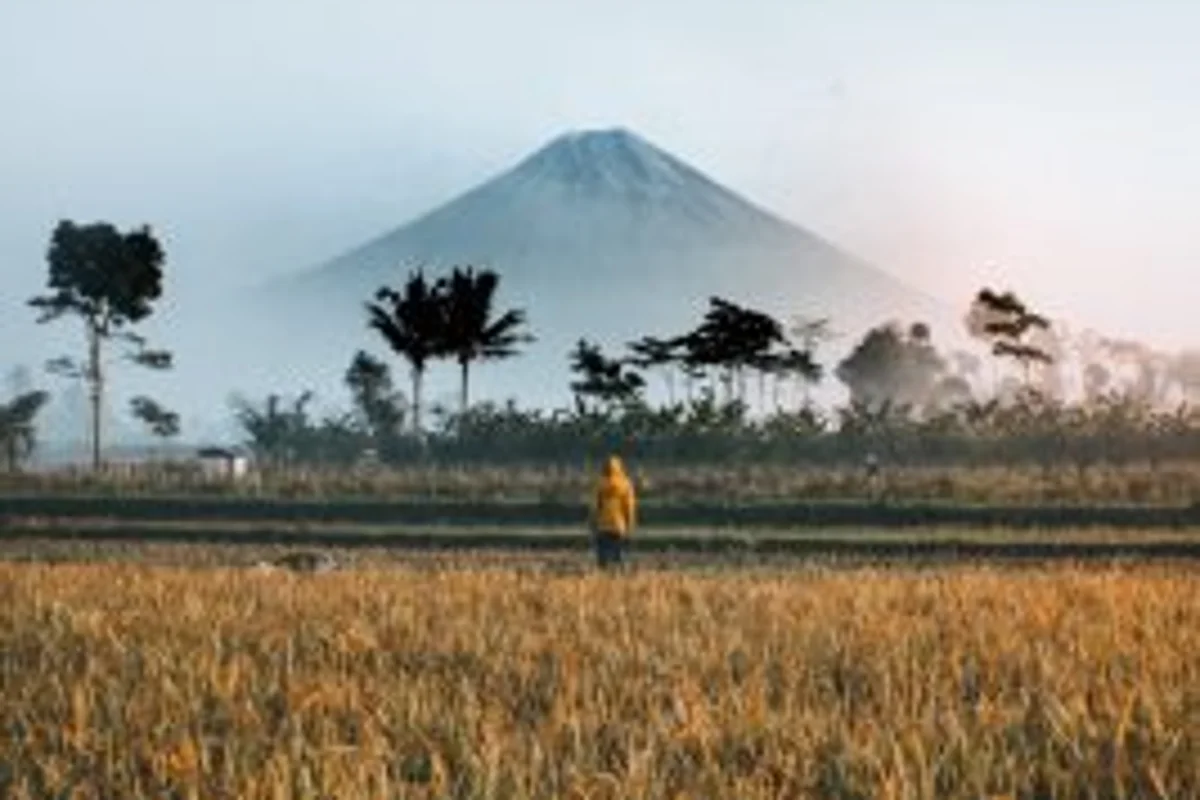 How to Start Forex Trading in Indonesia