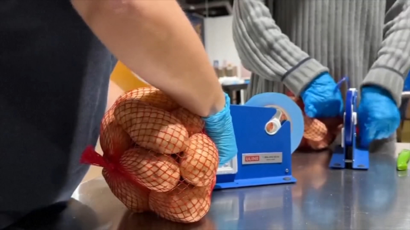 SNAP benefits run dry as government shutdown continues, here's how states are stepping in