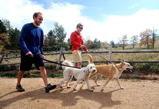 Things to do in Boulder on Saturday, Nov. 1: Pack walk at Foothills Community Park