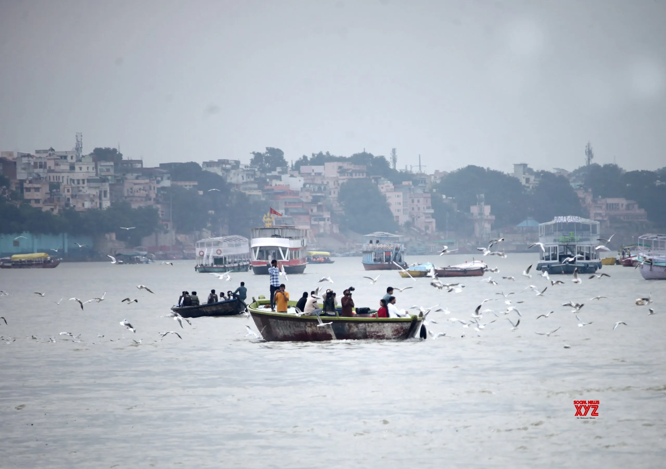 Varanasi: Migratory Seagulls Arrive on Ganga #Gallery