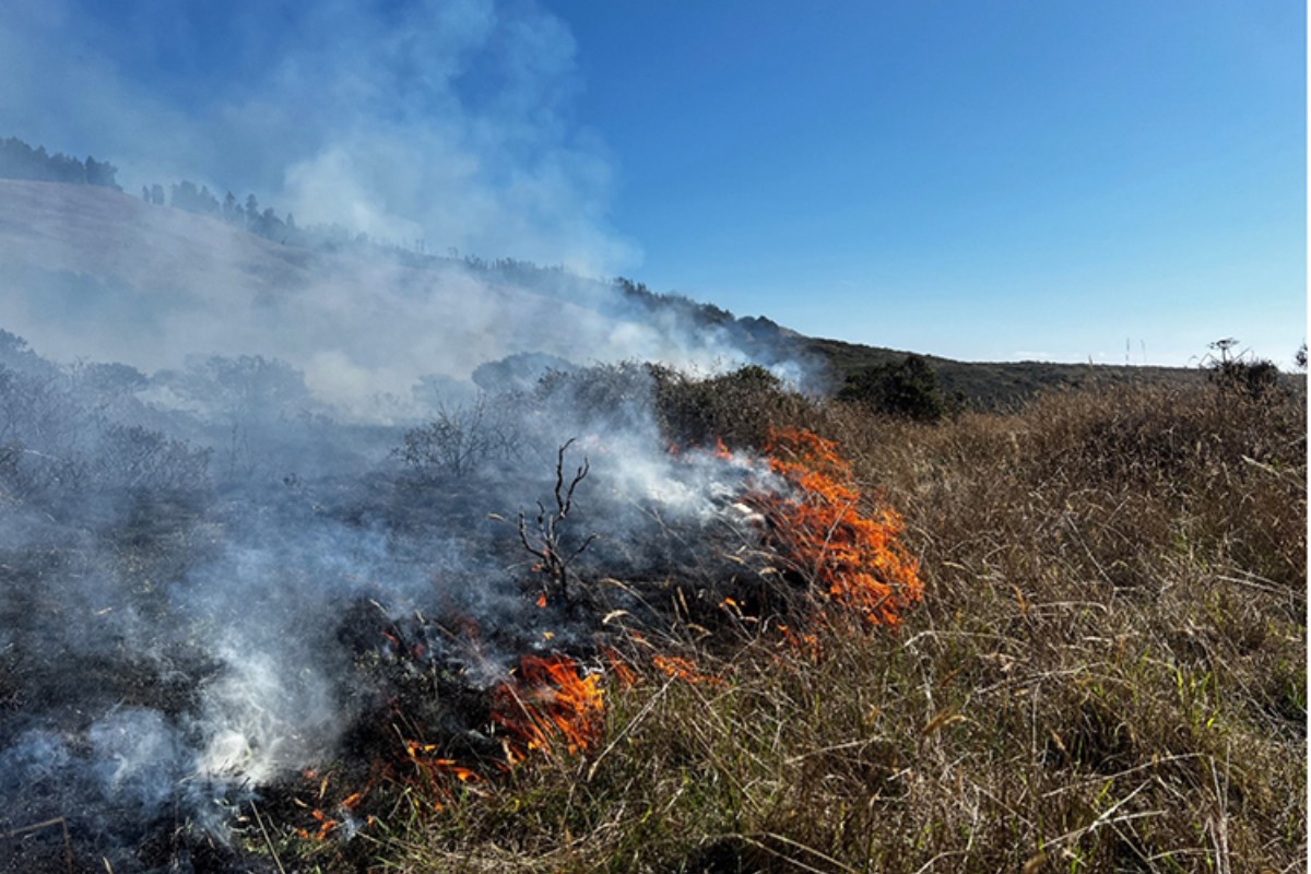 Salt Point State Park Plans Controlled Burn for Ecological Health, Public Advised of Minor Disruptions