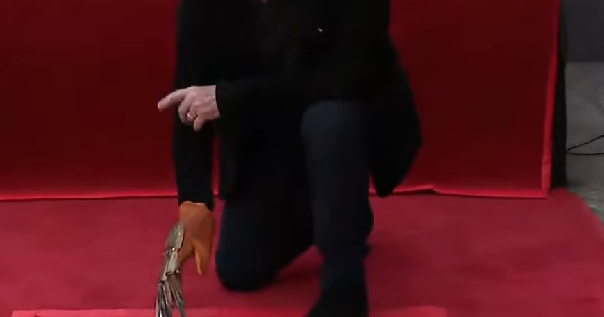 Robert Englund, best known for Freddy Krueger role, honored with Hollywood star