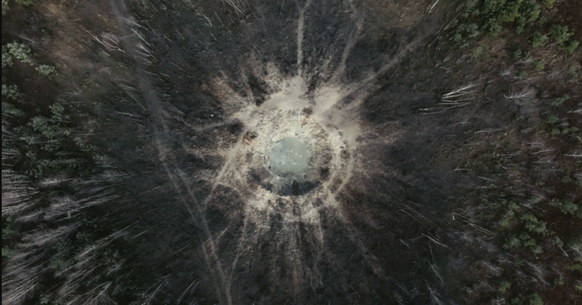 'There is no Planet B': 'Divia' doc dives into environmental devastation in Ukraine war