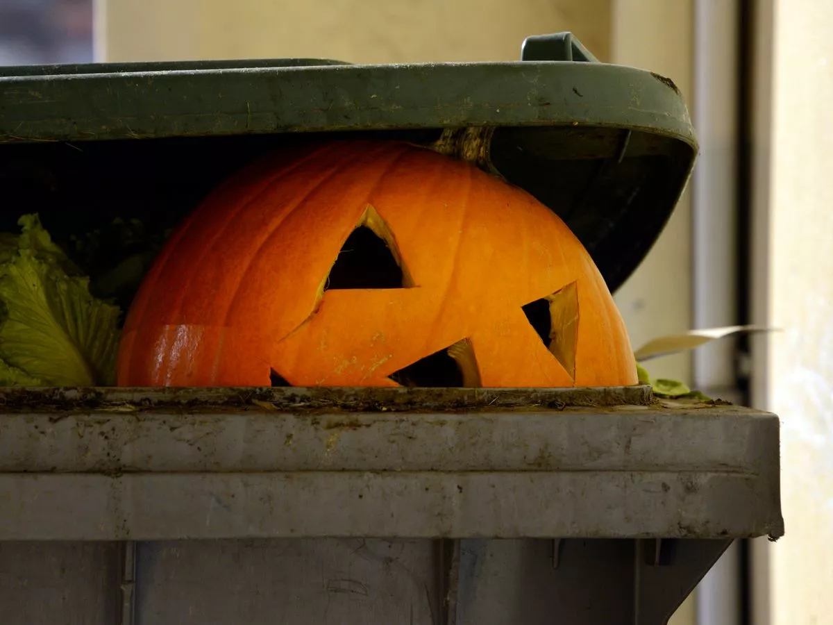 UK households risk £50k fine if Halloween pumpkins aren't disposed of correctly