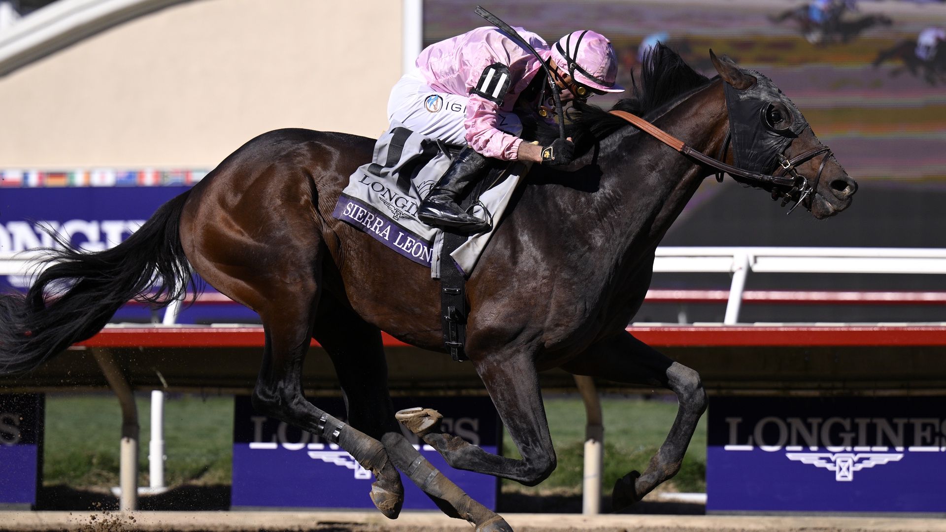 How to watch Breeders' Cup 2025: free live streams
