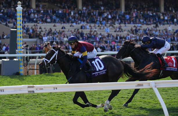 Cy Fair too good for True Love and company