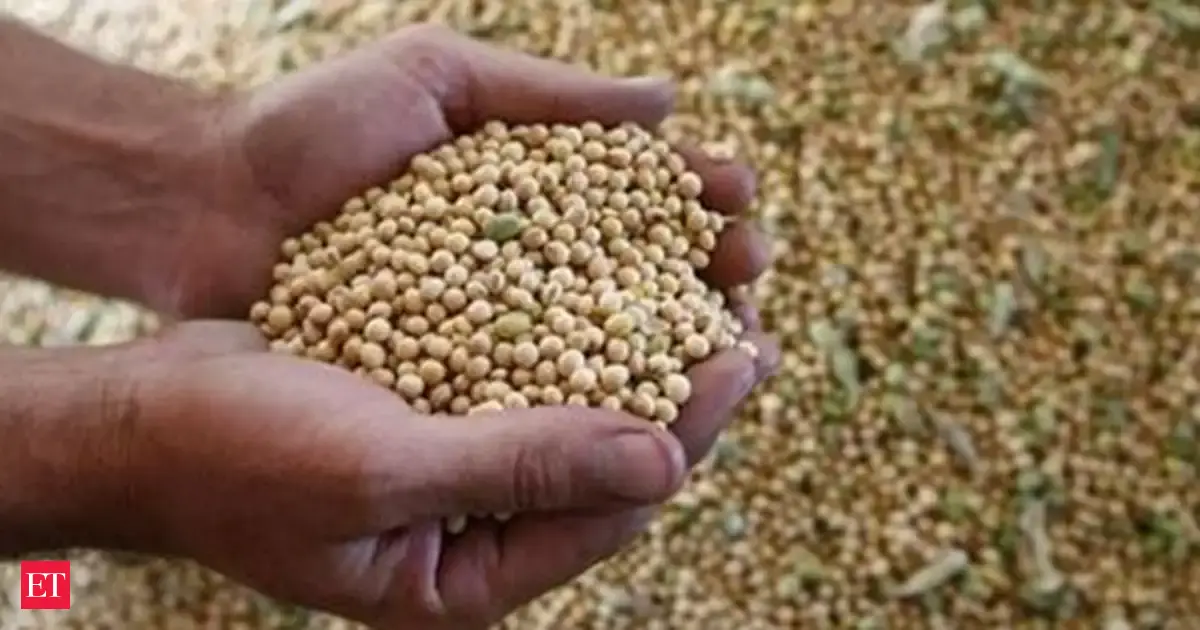 India's soybean meal exports fall by 11% due to high prices