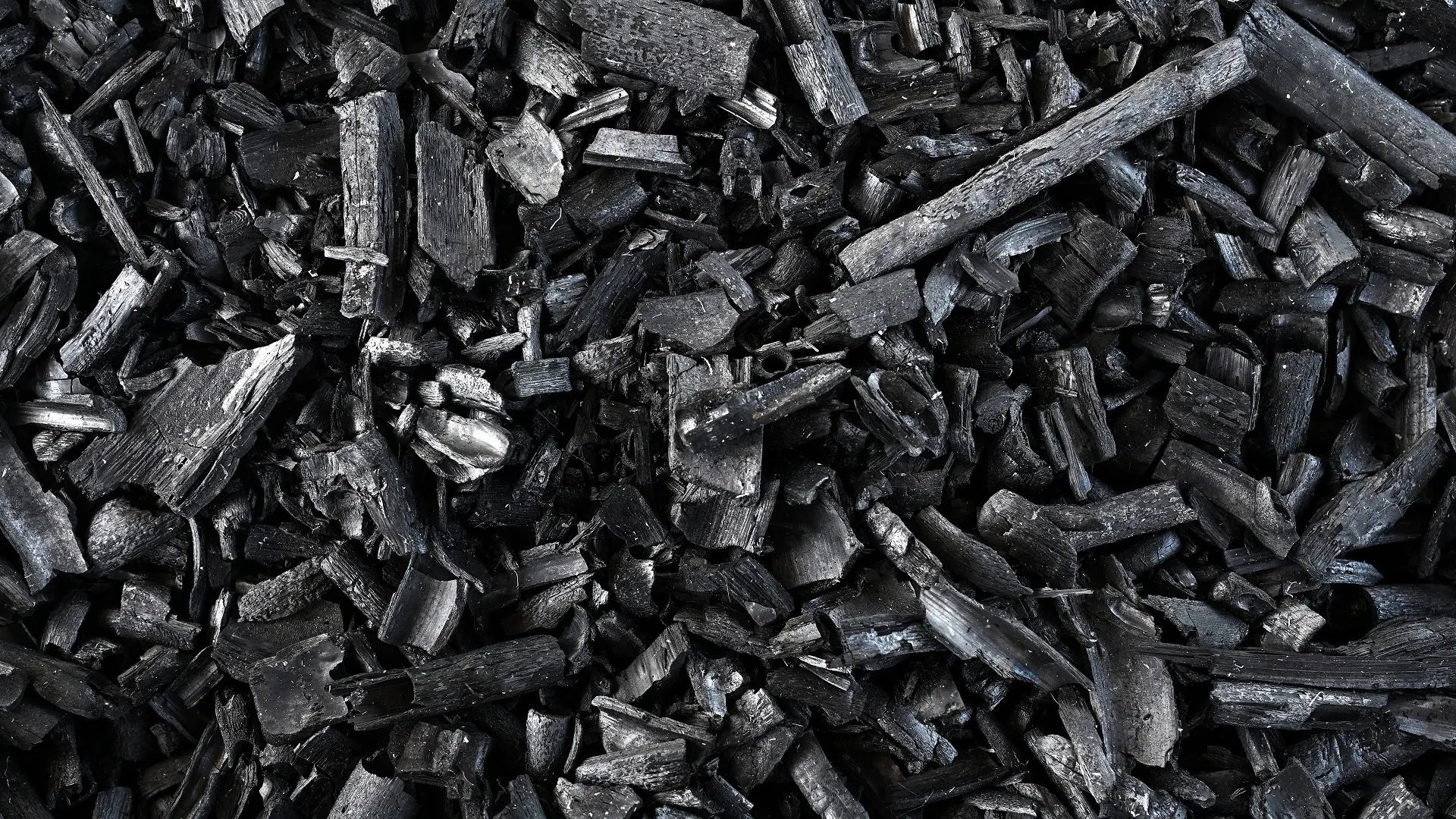 Scientists craft biochar from wood waste that rivals steel in strength