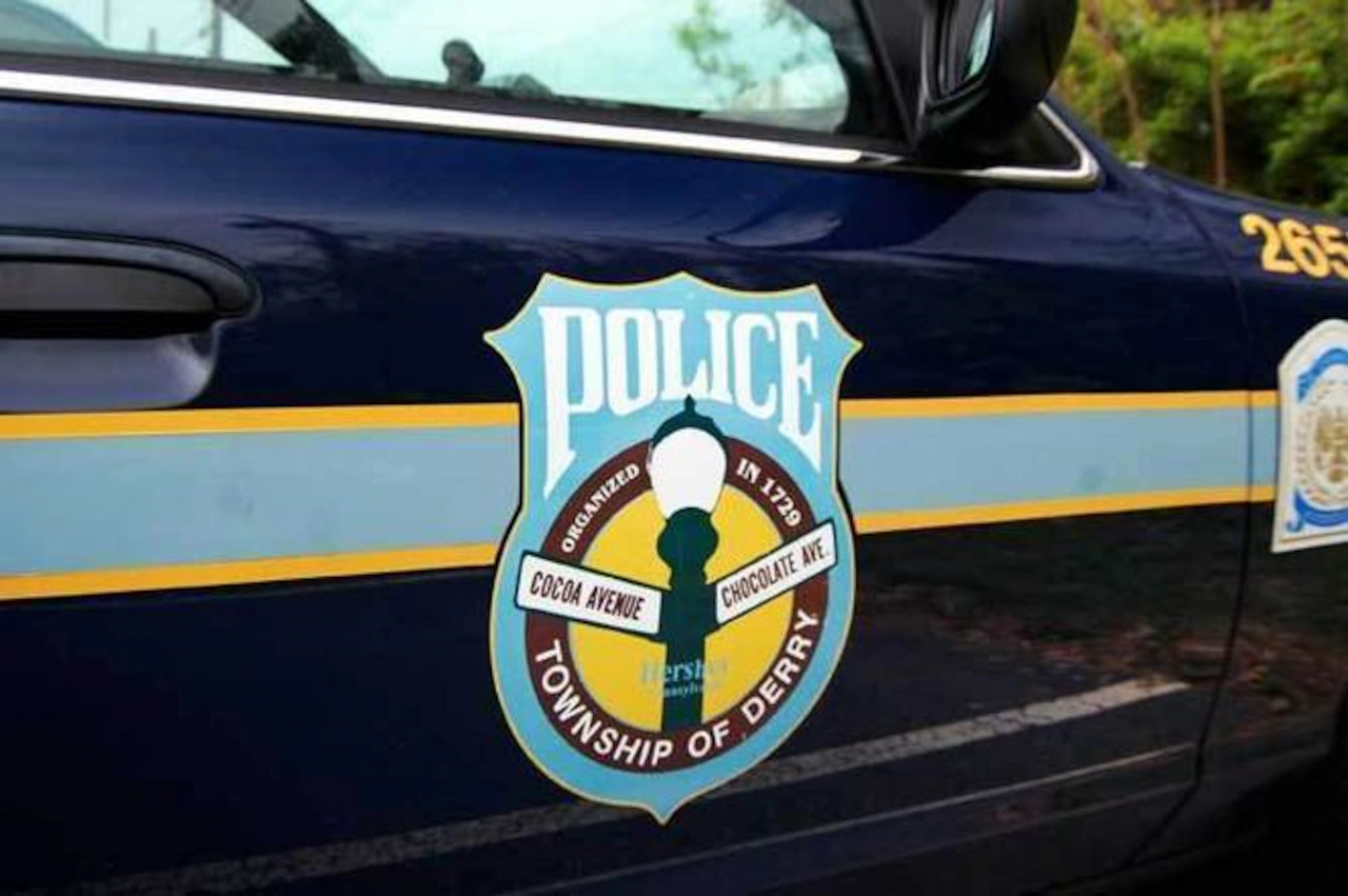 Woman who tried to break into Dauphin County school, prompting police chase gets diversion