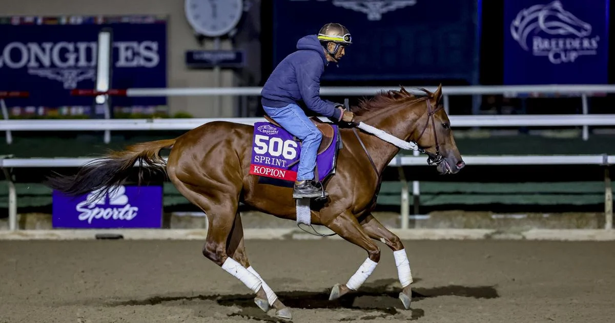 Competitive fields mark Breeders’ Cup Saturday