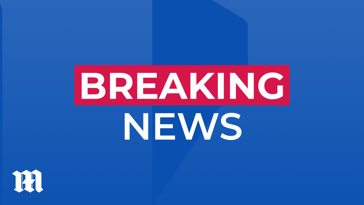 Wild scenes near Australia's most famous beach as cops dramatically swarm man in Bondi