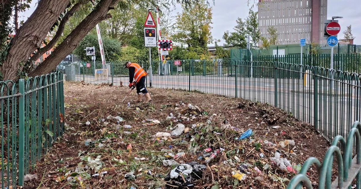 Transformation of littered land makes people feel 'safer when walking through the area'