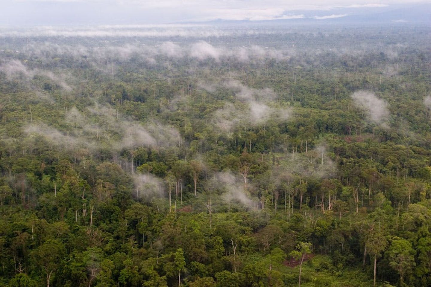 Malaysia, Indonesia announce refreshed climate targets ahead of COP30