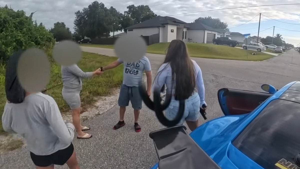 Florida woman caught on her own camera pulling gun on family in shocking road rage outburst