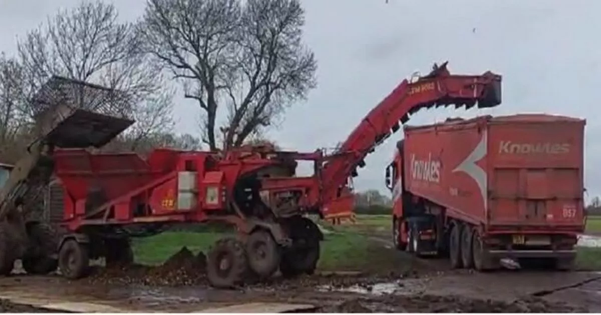 Employee punctured lung and broke ribs in workplace accident as company fined