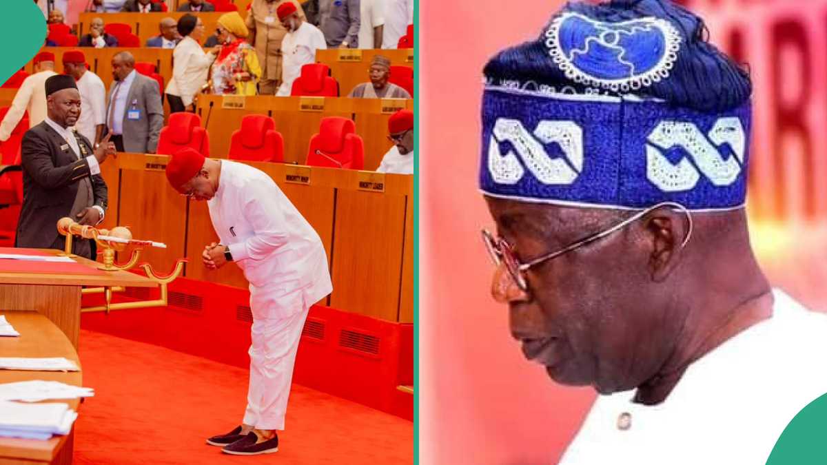 Breaking: Jubilation as Tinubu gets Senate approval for new minister
