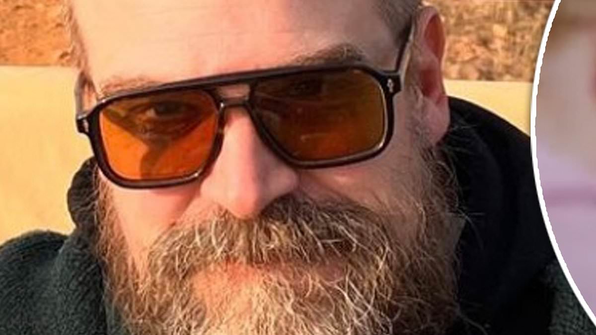 David Harbour vows to make Lily Allen 'unbearably happy and never need to write sad songs again' in poignant backdated post - as he is flooded with fury from fans over break-up album