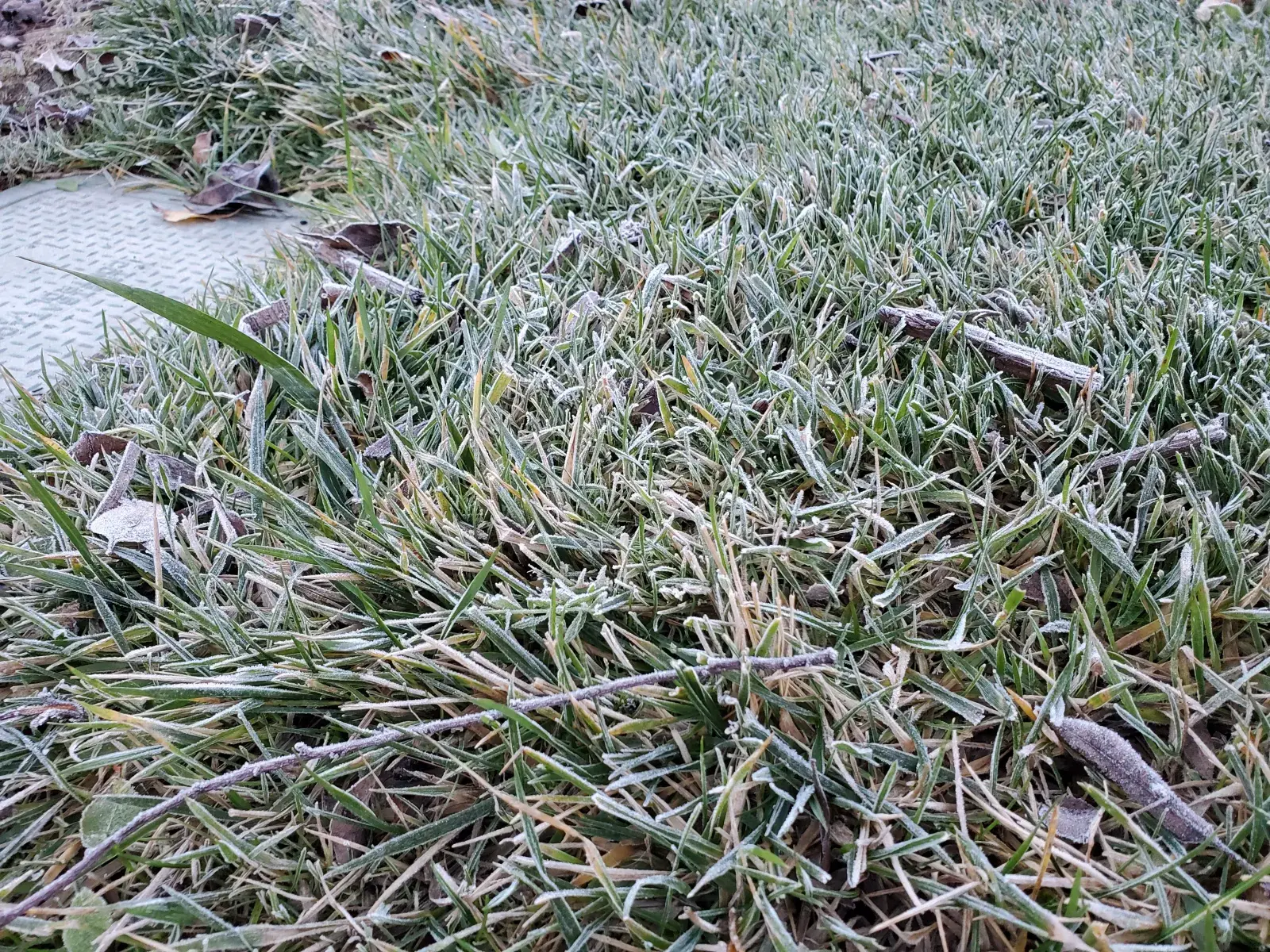 Thousands Face Plummeting Subfreezing Conditions In 7 States