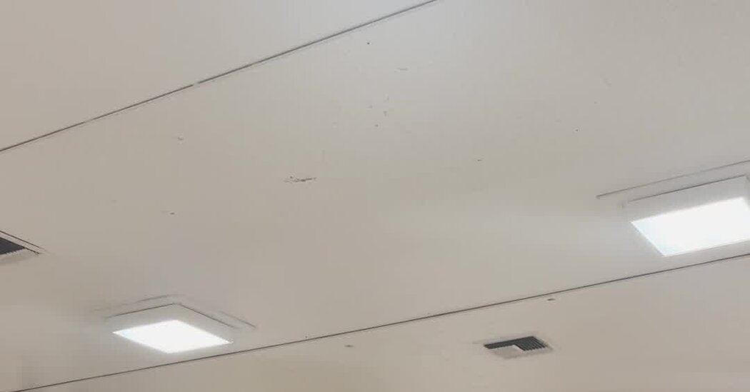 Anger Over ICE Raids Is Driving Some Latino Voters to the Polls