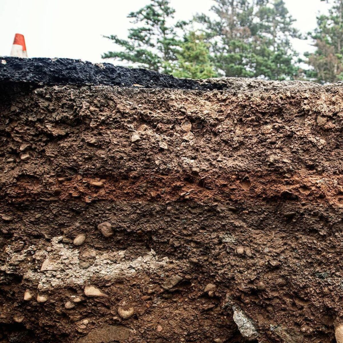 Signpost: Developing a carbon farming framework in Ireland