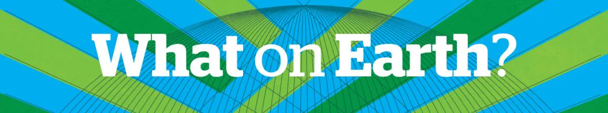 Liquified, composted: How green are these alternative death practices?