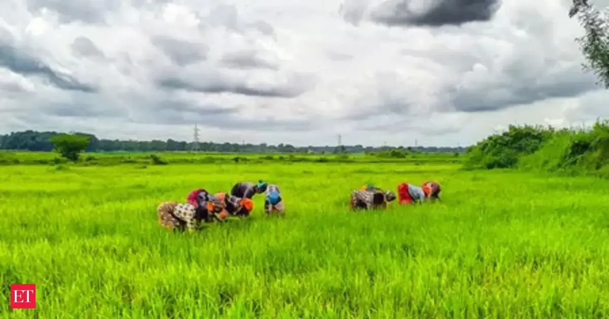 Govt to introduce stringent seed law in Budget session, says Agriculture Minister