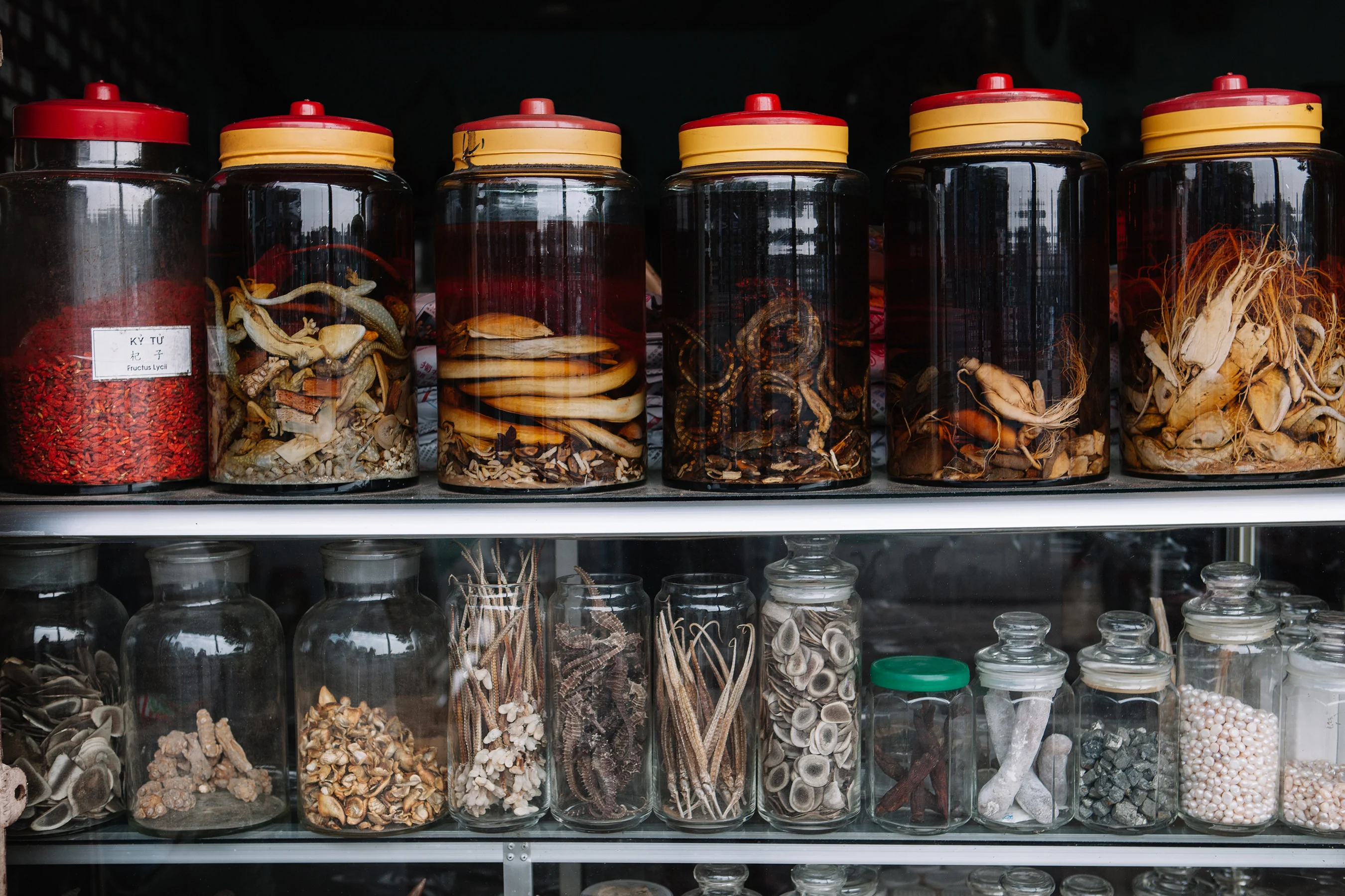 Why Chinese medicinal wines still have a place in TCM, and their history