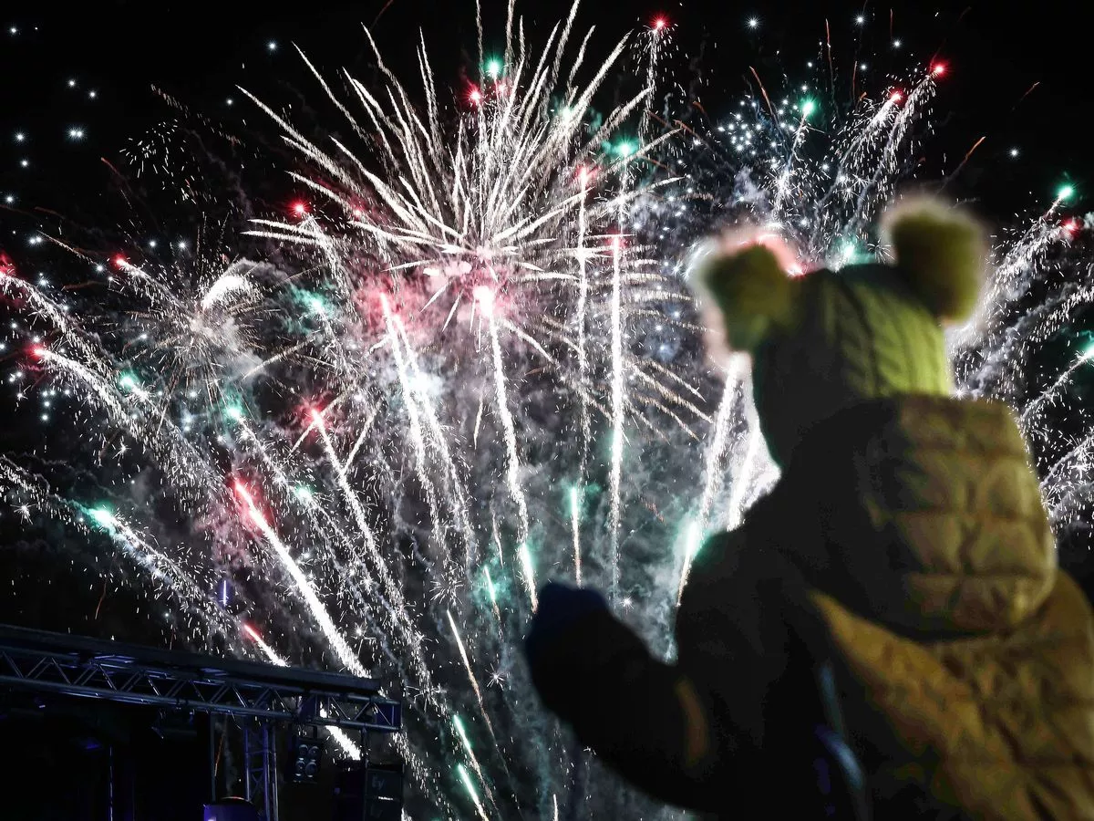 Dog had to be put to sleep after anxiety-induced stroke due to fireworks