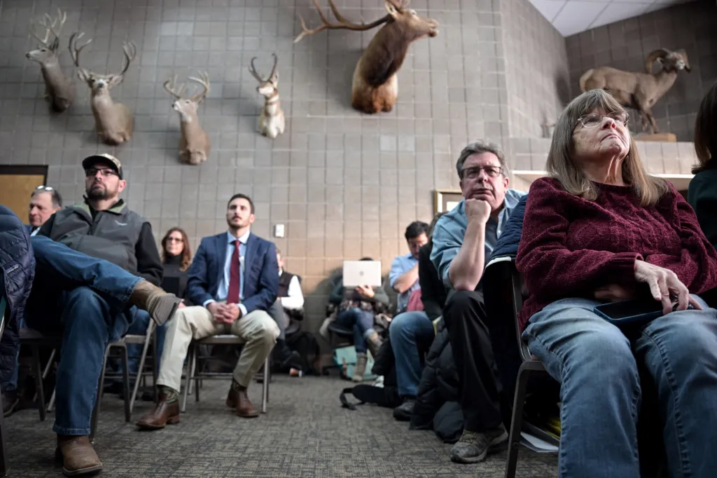 Where will Colorado get wolves after Trump official rules out Canada?