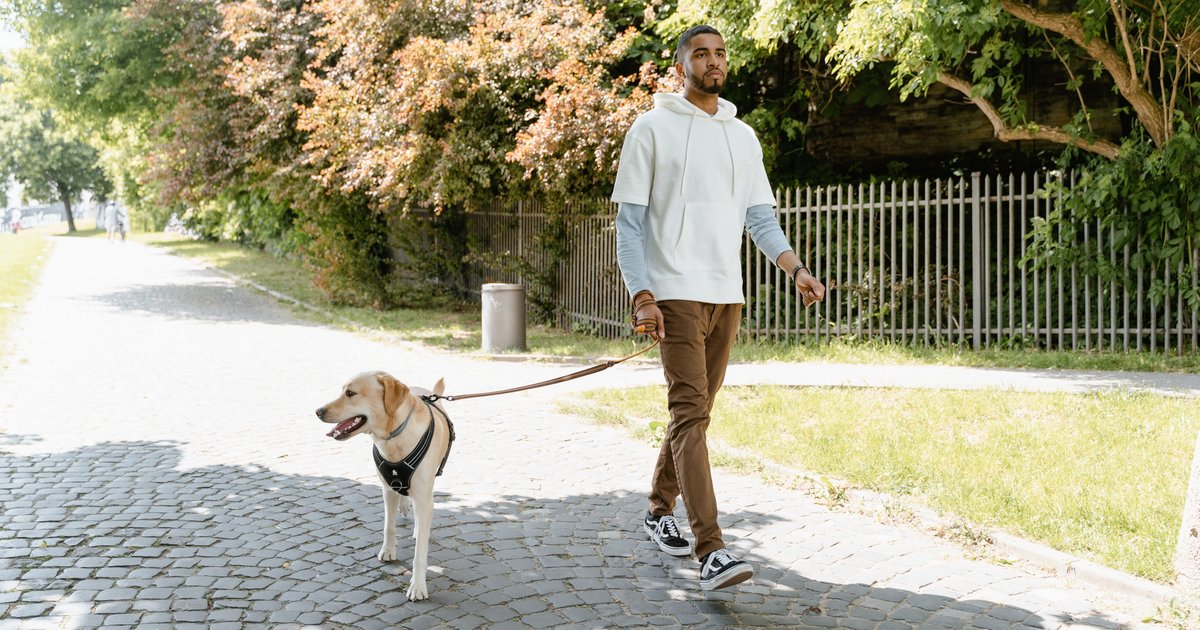 A long walk may be better for your heart than multiple shorter ones