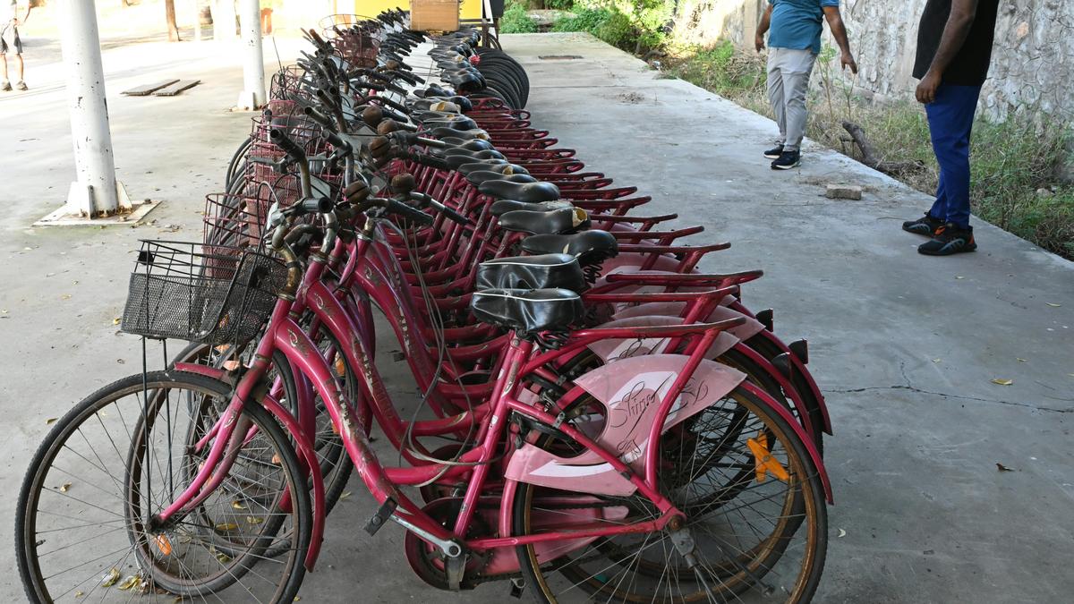Thoothukudi Corporation to enhance facilities on Beach road and Roche park