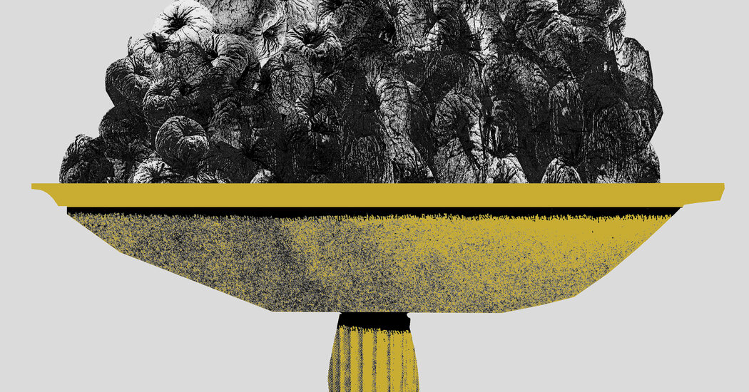 Why Trump Can Do No Wrong