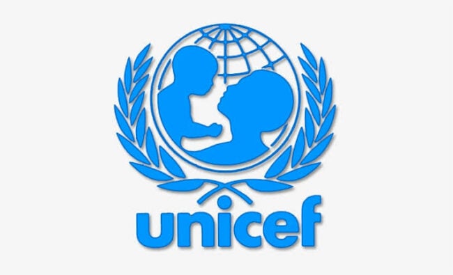 Borno govt, UNICEF reaffirm commitment to healthcare for children
