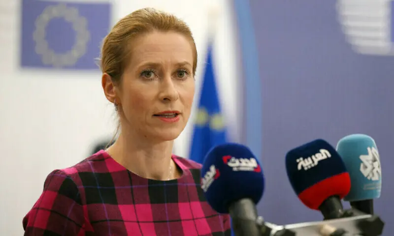 EU calls on Tanzanian authorities to show ‘restraint’ in election violence: Kallas