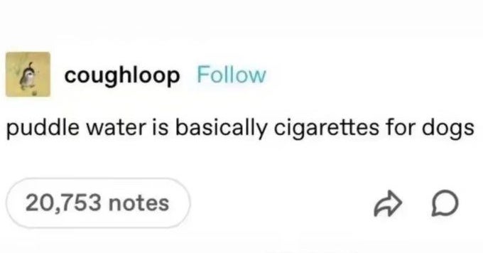 100 Extremely Dumb Pictures That Inexplicably Never Fail To Make Me Laugh Uncontrollably No Matter How Many Times I've Seen Them