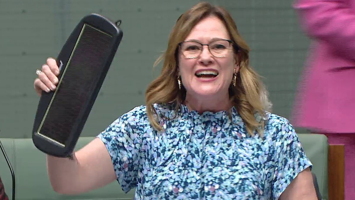 Labor MP copies former prime minister Scott Morrison's infamous 'coal' speech to promote renewable power
