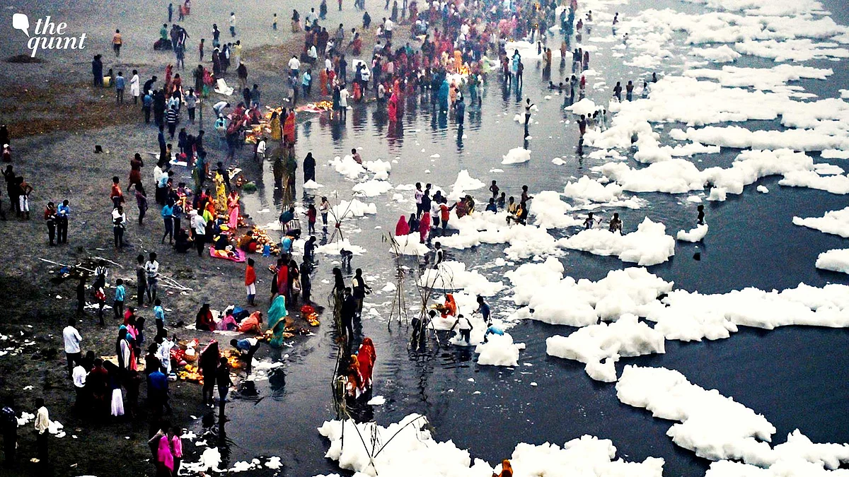 The Yamuna Is Delhi’s Mirror. And the Reflection Is Ugly