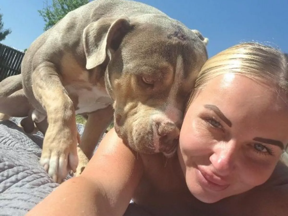 Mum let young son around stranger's dogs in £27 a night illegal home scheme