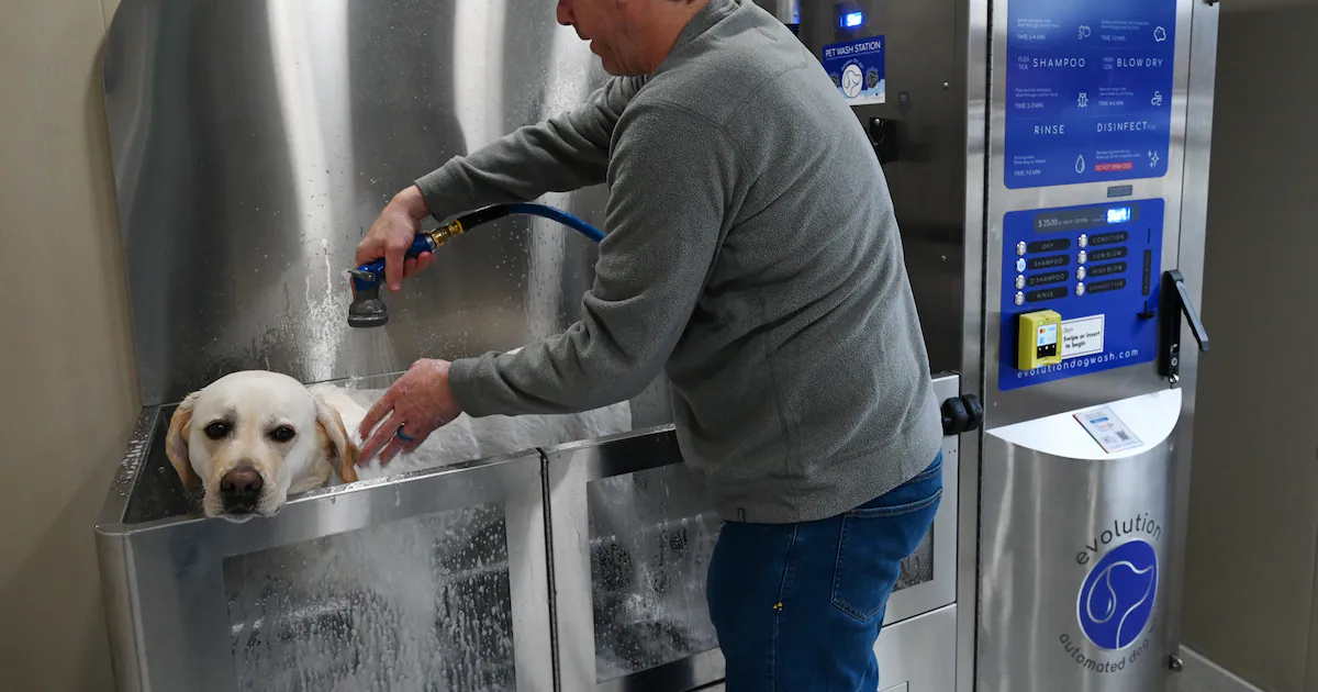 Open & Shut: Anchorage gets a new Chinese restaurant, a pet wash biz, a furniture and decor shop and a kettlebell gym