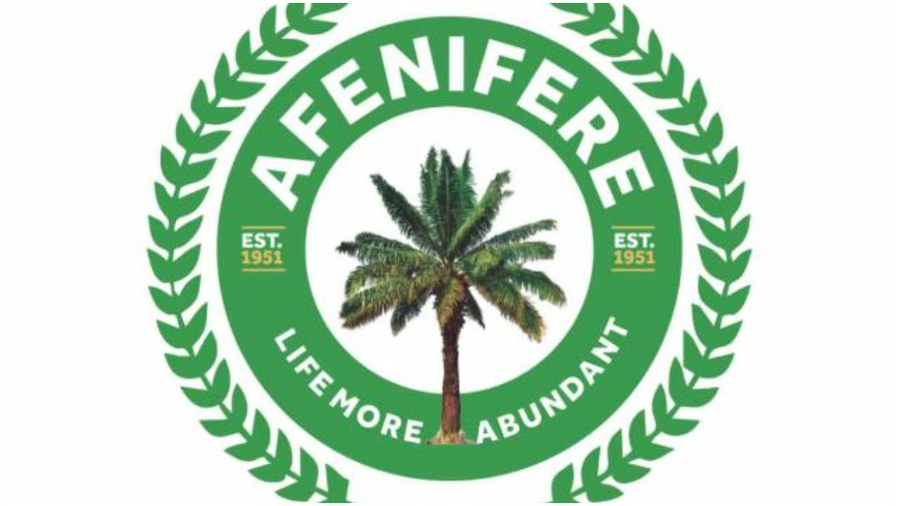 Afenifere Gives Timeframe For Dialogue Implementation
